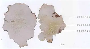 N1箁傧??脝7暙E竣?E,o?(氚?萆拦鳁?健檙(n1+αn21+αn3=0)-开云app下载